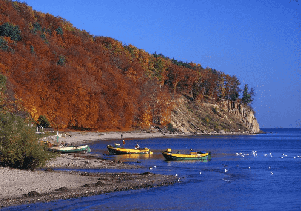 tłumaczenia przysięgłe Gdynia